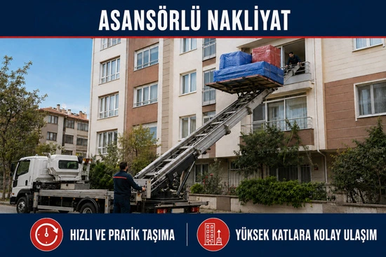ANASAYFA